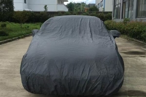 CAR COVER